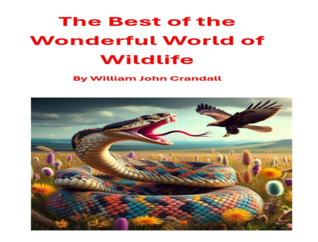 Best of the Wonderful World of Wildlife