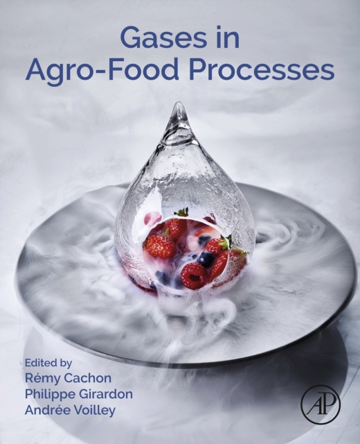Gases in Agro-food Processes