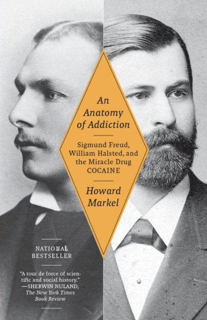 Anatomy of Addiction