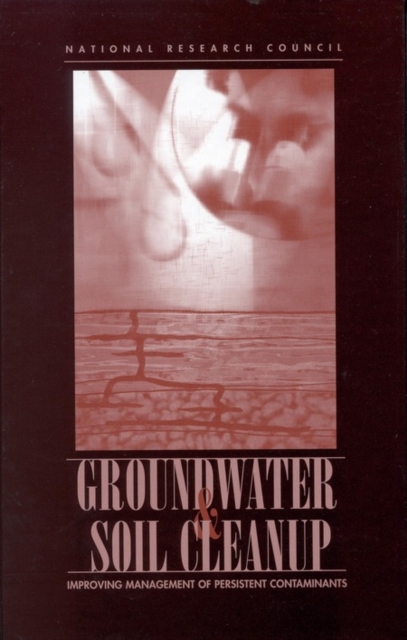 Women's Activist Theatre in Jamaica and South Africa