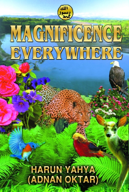 Magnificence Everywhere