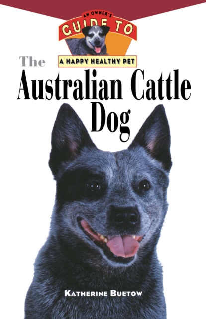Australian Cattle Dog