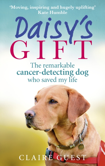 Daisy s Gift