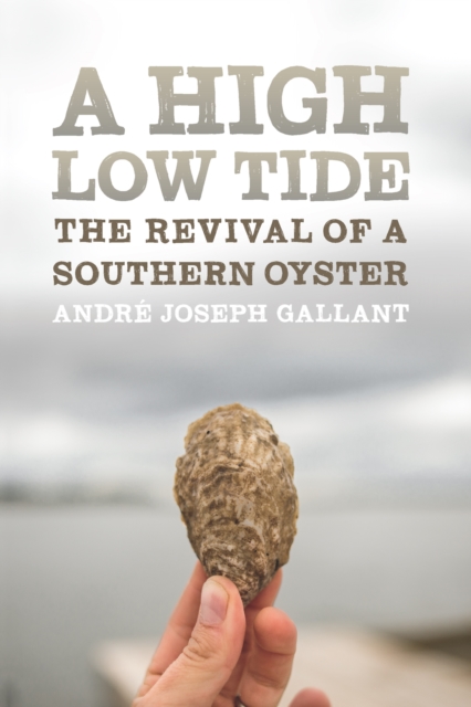 High Low Tide