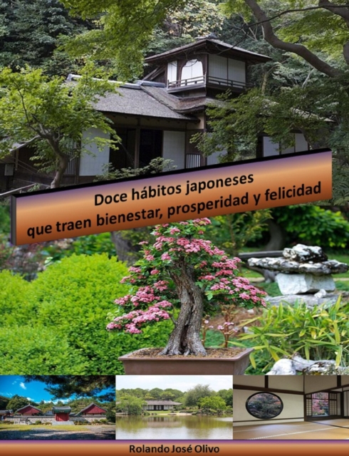 Doce habitos japoneses que traen bienestar, prosperidad y felicidad