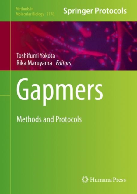Gapmers