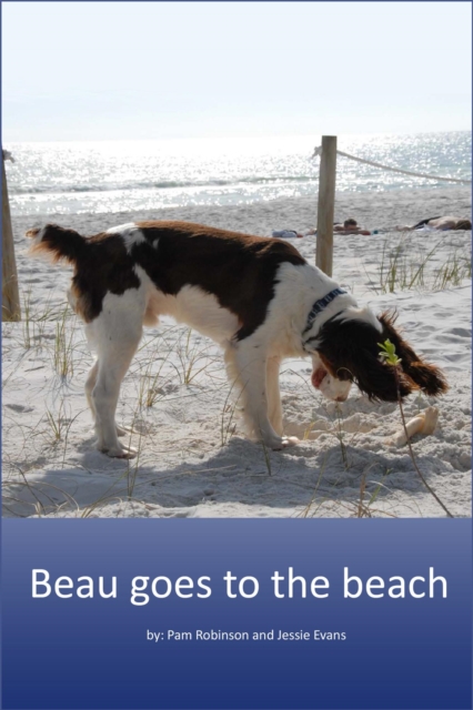 Beau Goes to the Beach.