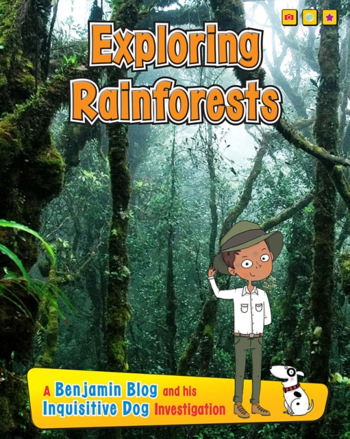 Exploring Rain Forests
