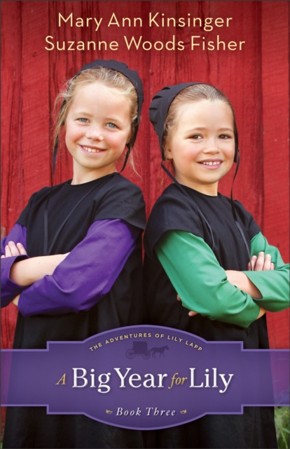 Big Year for Lily ( Book #3)
