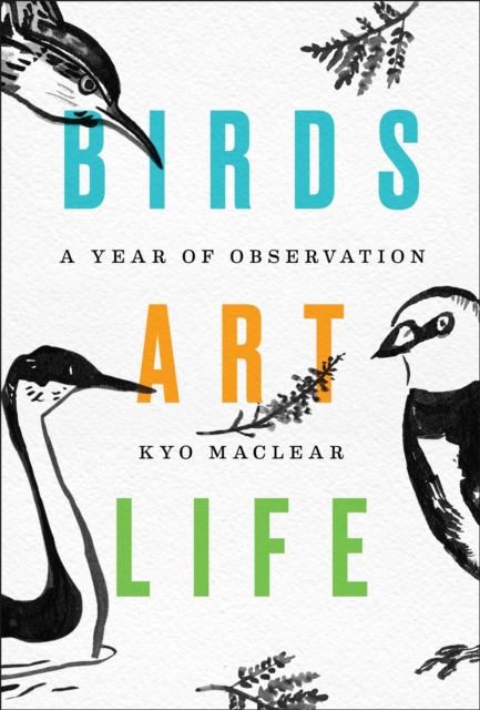 Birds Art Life