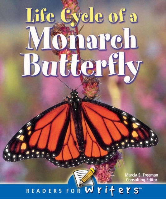 Life Cycle of A Monarch Butterfly