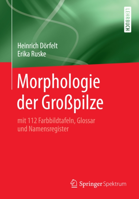 Morphologie der Großpilze