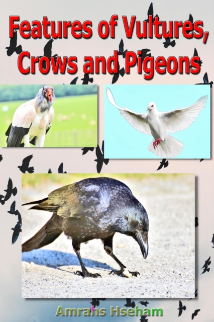 Features of Vultures, Crows and Pigeons