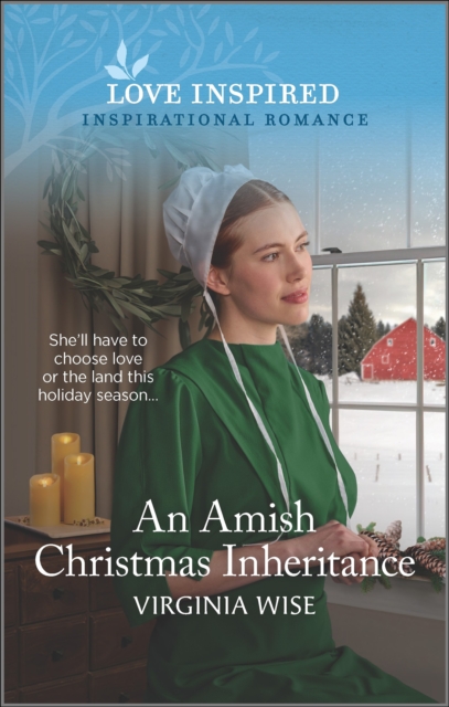 Amish Christmas Inheritance