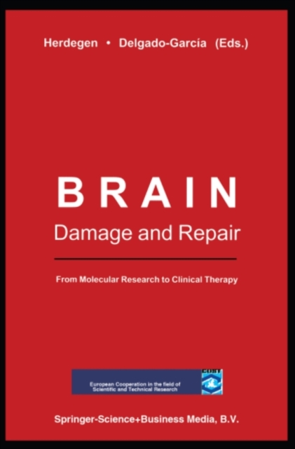 Brain Damage and Repair