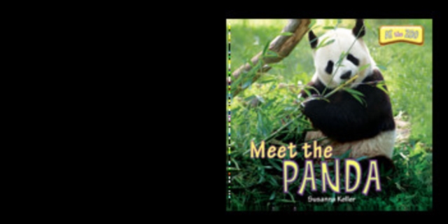 Meet the Panda