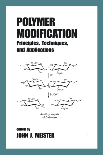 Polymer Modification