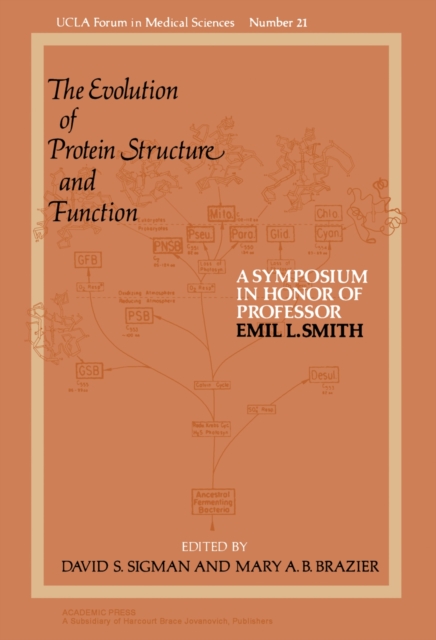 Systems Analysis and Simulation in Ecology