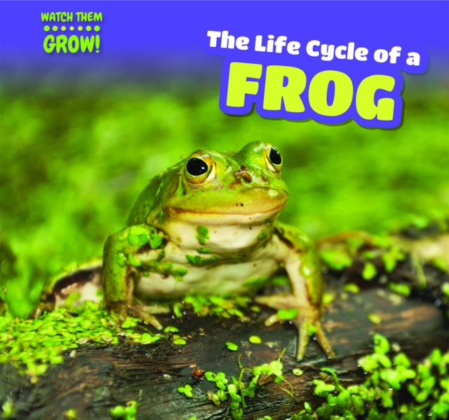 Life Cycle of a Frog