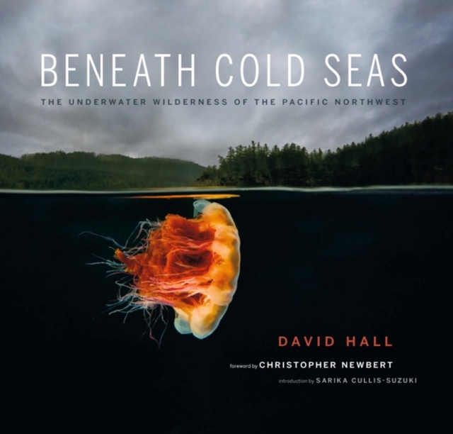 Beneath Cold Seas