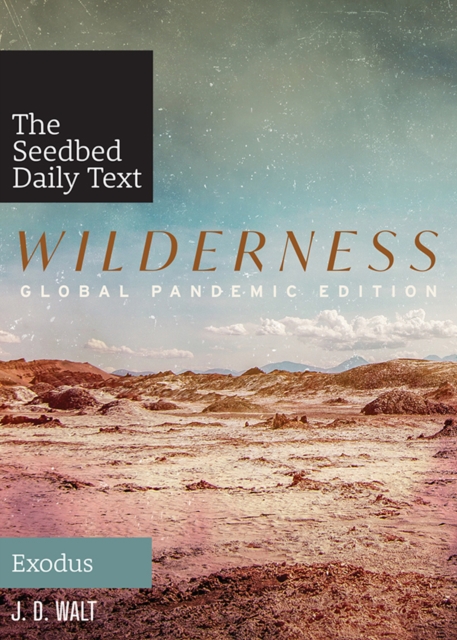Wilderness