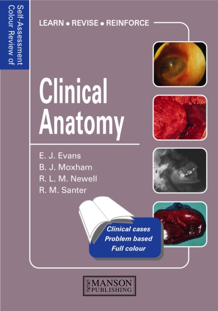 Cardiology