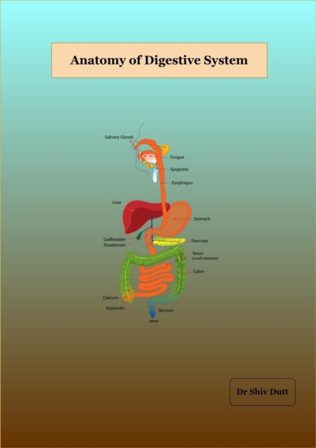 Anatomy of Digestive System