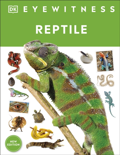 Reptile