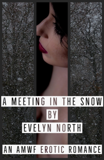 Meeting in the Snow