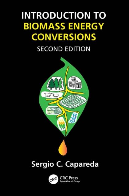 Phytochemical Composition and Pharmacy of Medicinal Plants