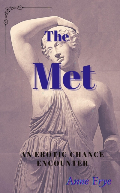 Met: An Erotic Chance Encounter