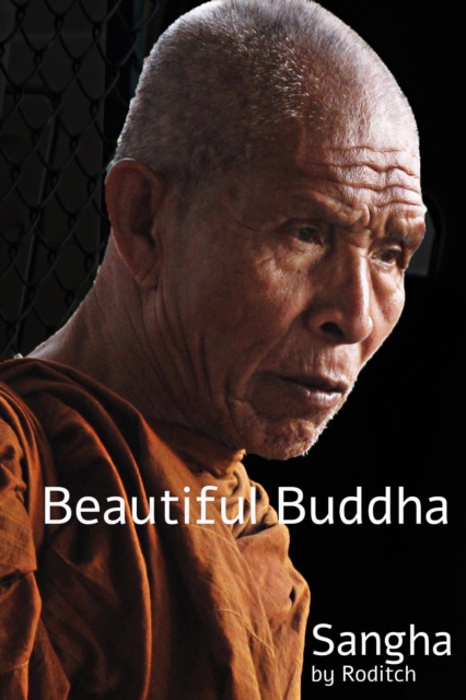 Beautiful Buddha Sangha