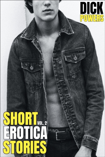 Short Erotica Stories Vol. 2