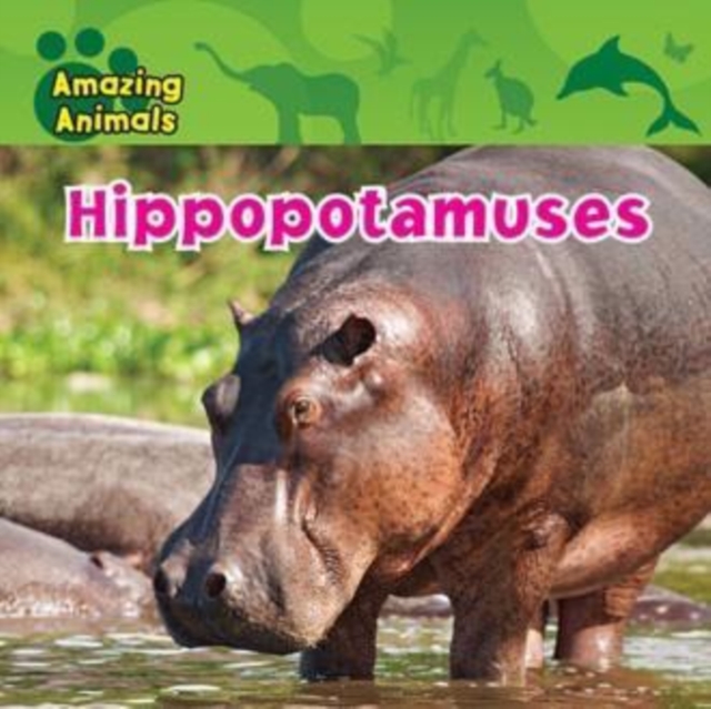 Hippopotamuses