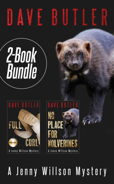 Jenny Willson Mystery 2-Book Bundle