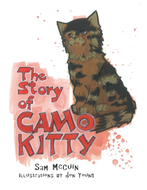 Story of Camo Kitty