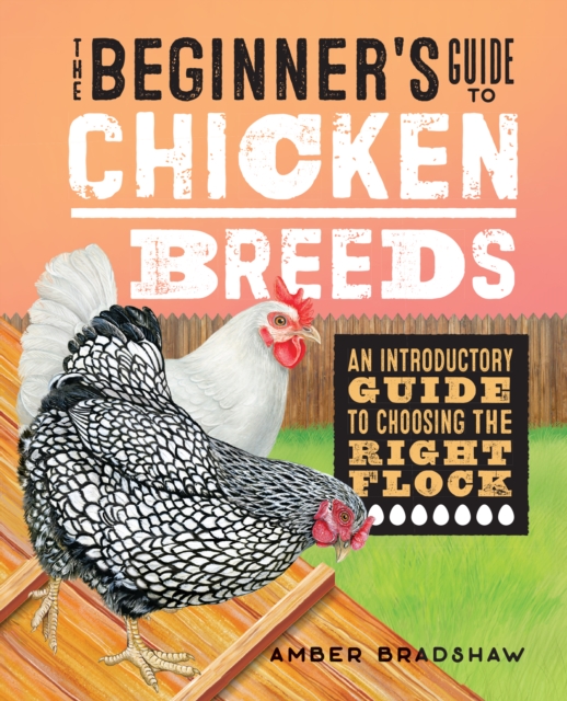 Beginner's Guide to Chicken Breeds