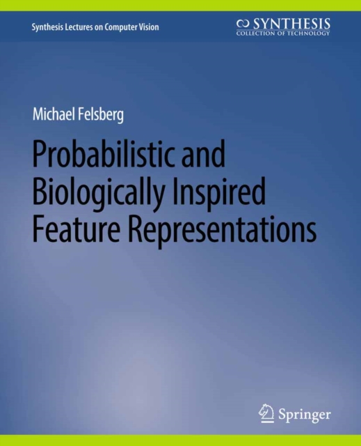 Probabilistic and Biologically Inspired Feature Representations