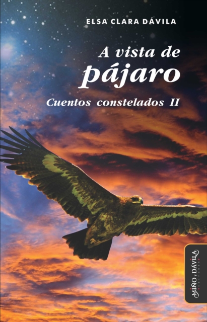 vista de pajaro