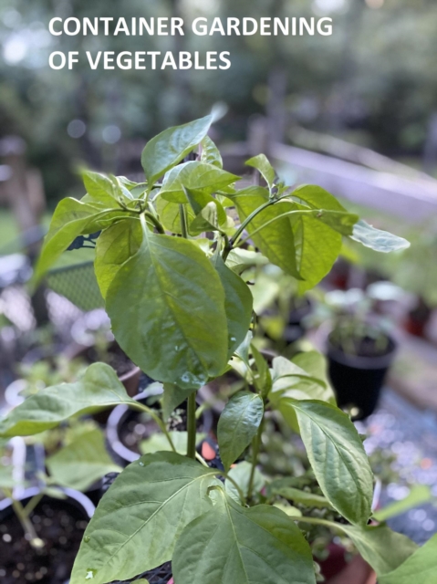 Container Gardening of Vegetables