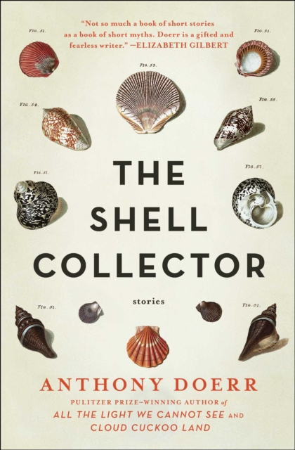 Shell Collector