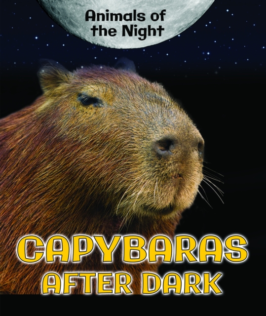 Capybaras After Dark