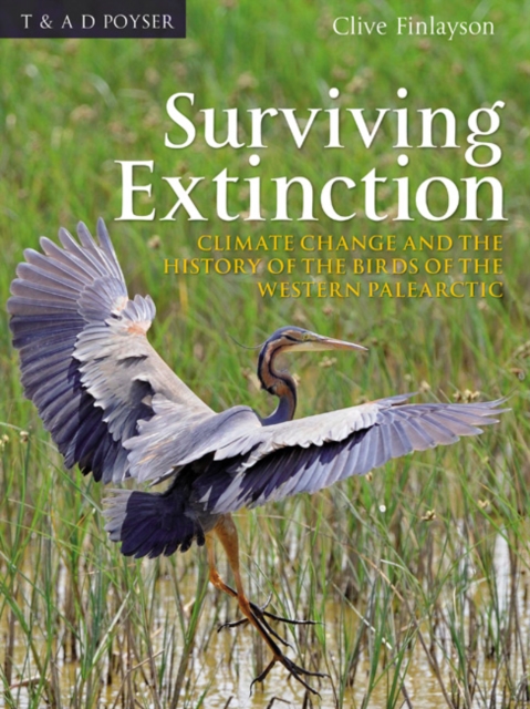 Avian survivors