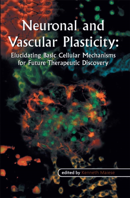 Neuronal and Vascular Plasticity