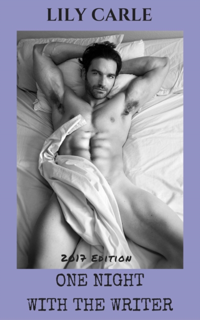 One Night With The Writer