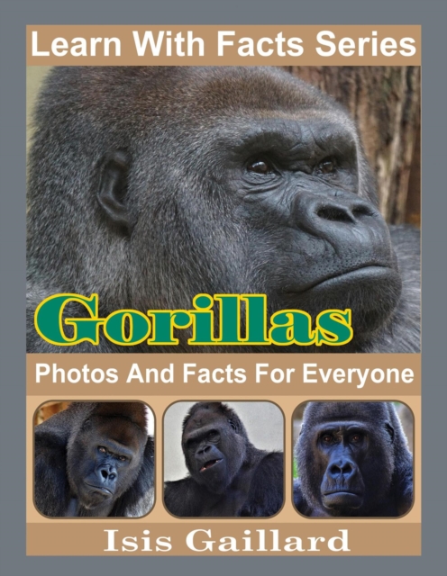 Gorillas Photos and Facts for Everyone