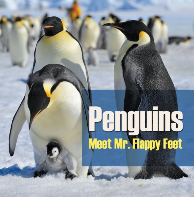 Penguins - Meet Mr. Flappy Feet
