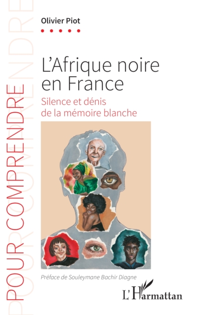 L’Afrique noire en France