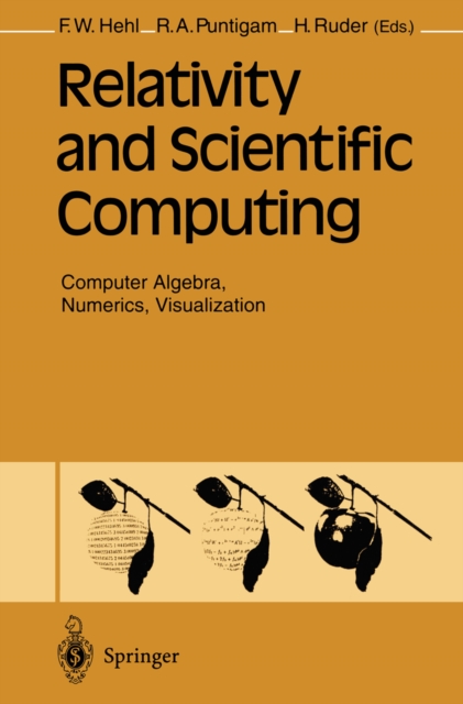 Relativity and Scientific Computing