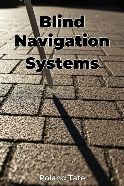 Blind Navigation Systems
